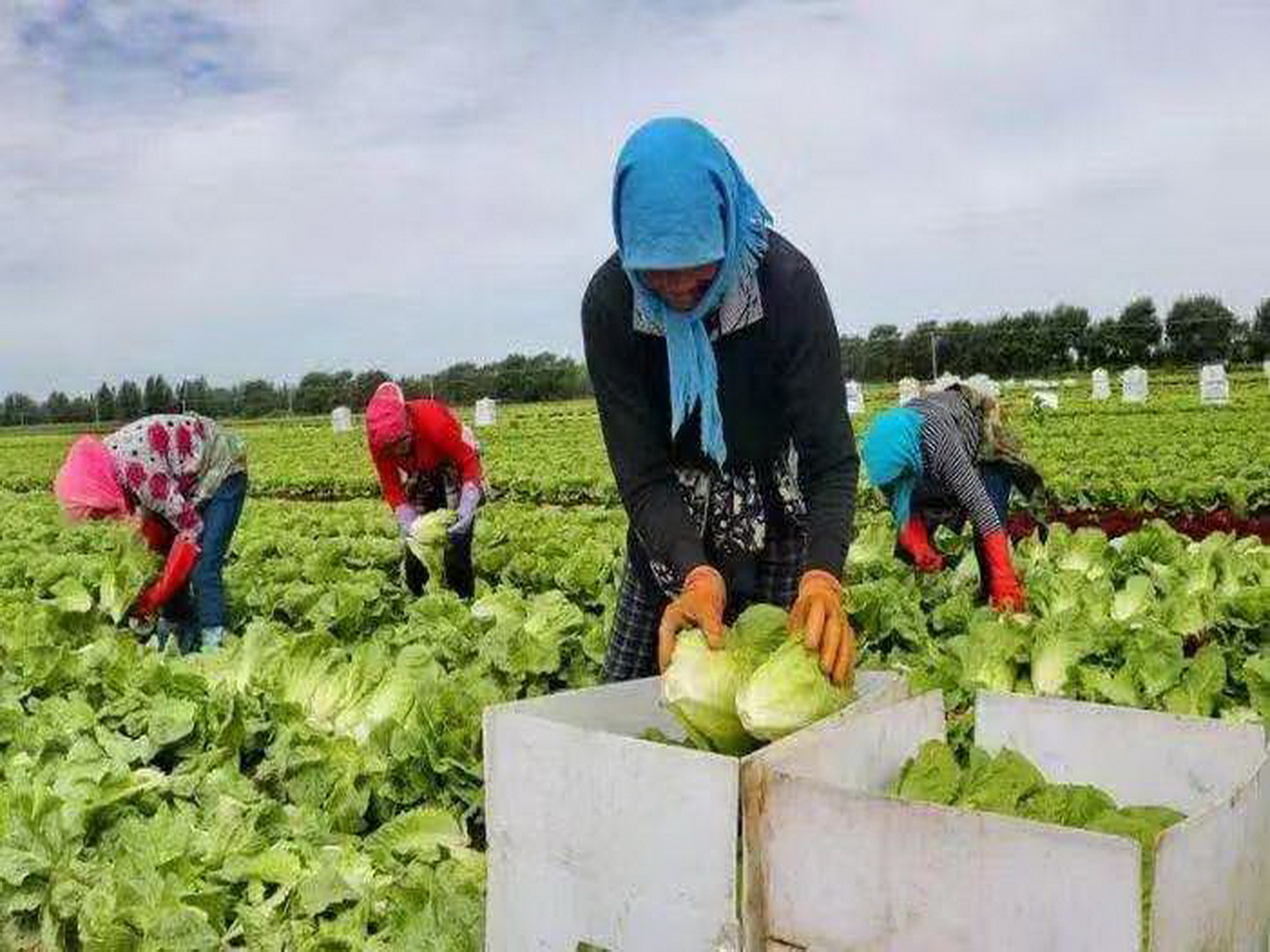 6731������Ϸ(�й���)-�ٷ���վ