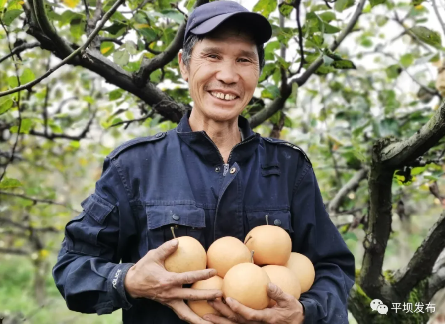 6731������Ϸ(�й���)-�ٷ���վ