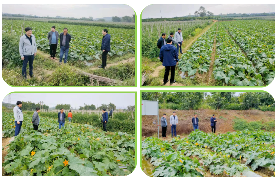 1638770864140181.png image.png