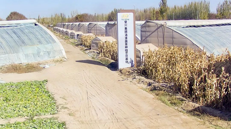 1700011953197132.png 1700011953197132.png