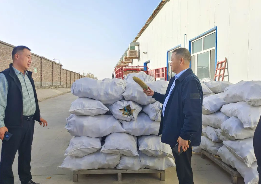 1700012002185368.png 1700012002185368.png